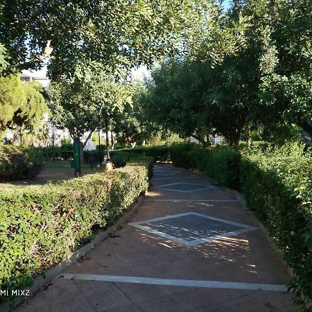 Beautiful House In Alimos Near To The Beach And Metro Афины Экстерьер фото